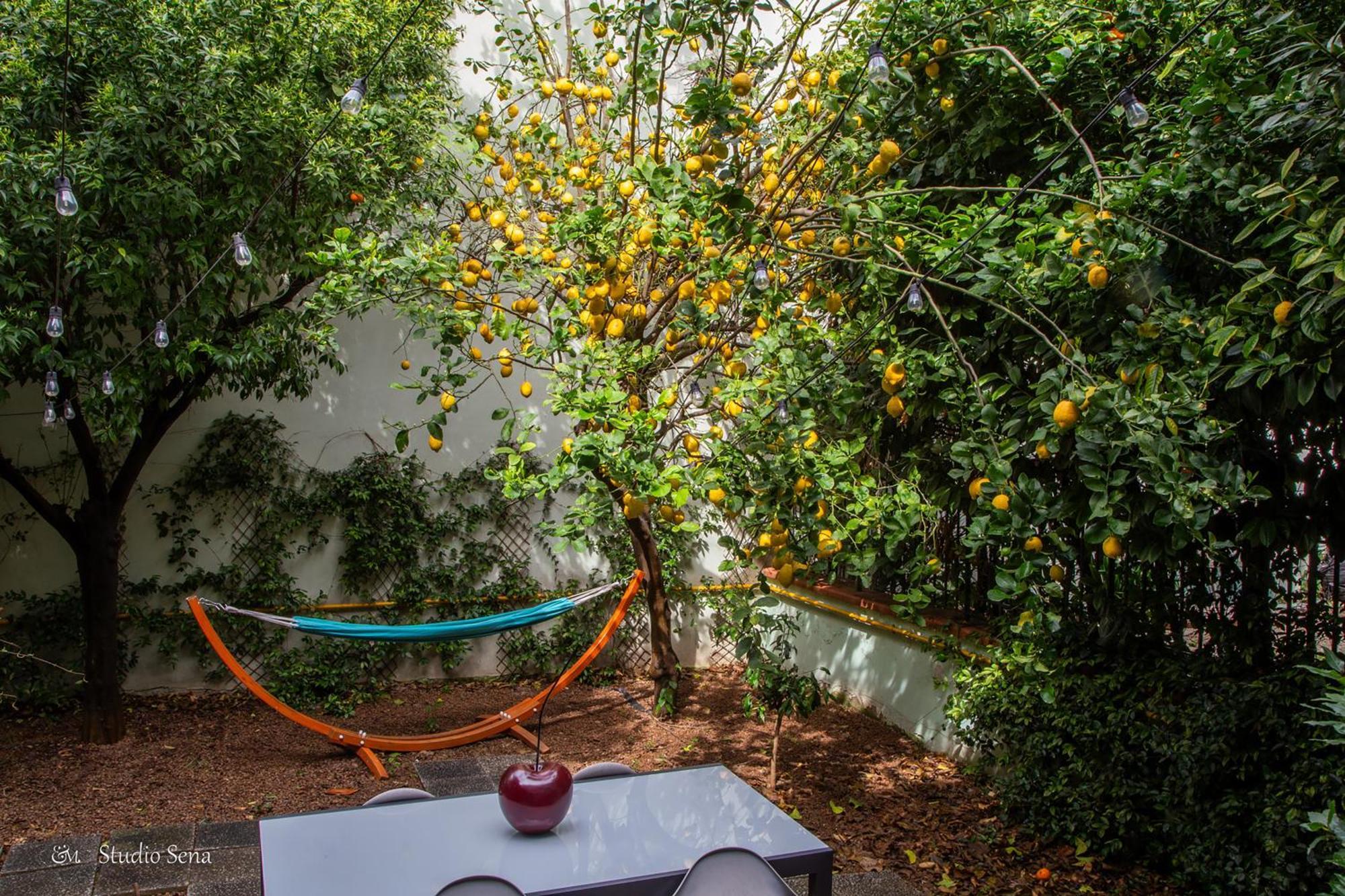 Utopia Bed & Breakfast Marigliano Extérieur photo